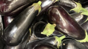 eggplant