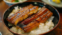 grilled eel unagi kabayaki