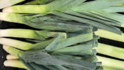 leek