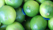 limes