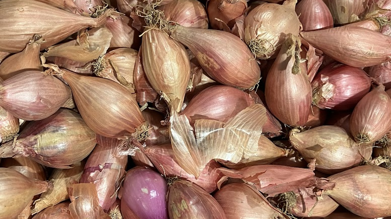 shallots