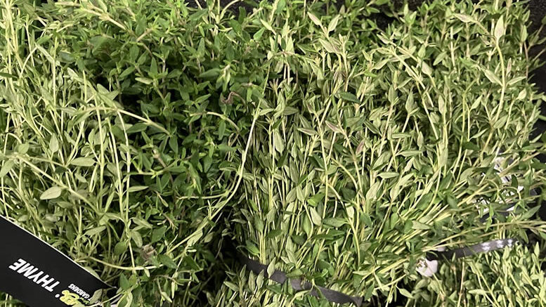 thyme