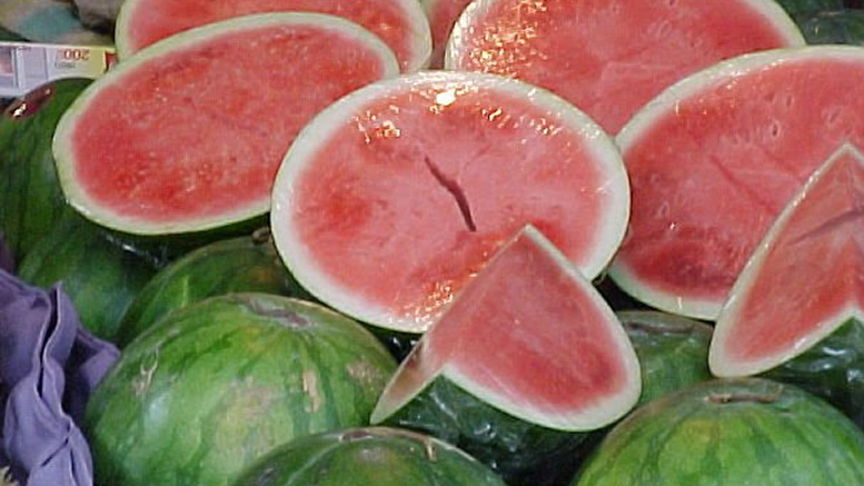 watermelon